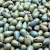 Teardrops Beads 6x9mm